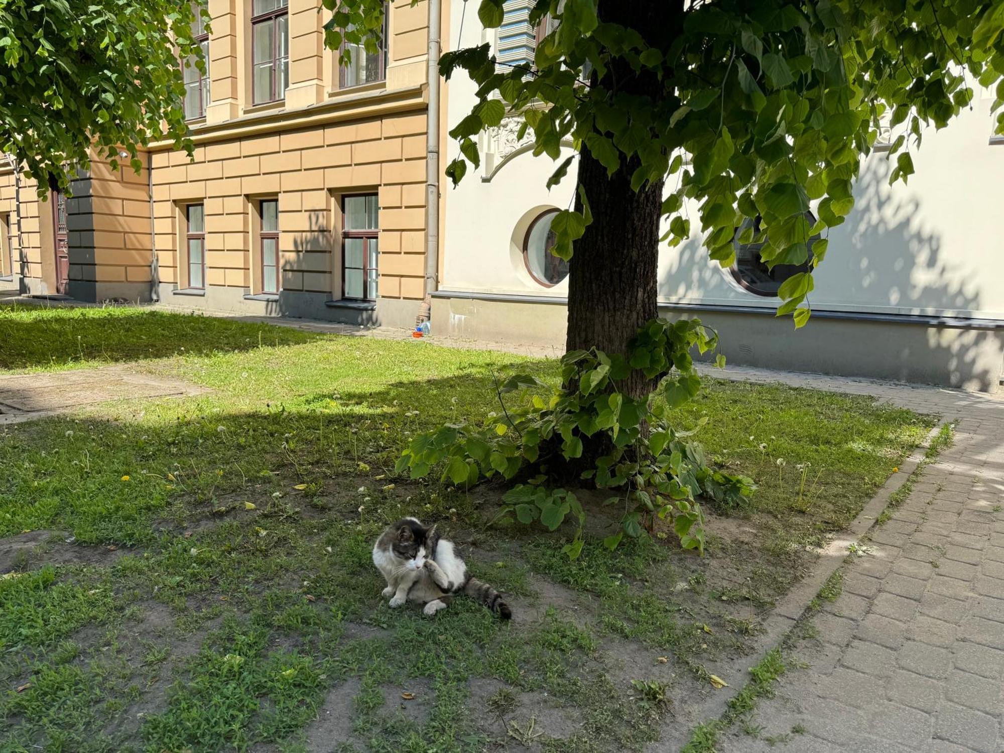 Stay In Art Nouveau District Riga Exterior photo